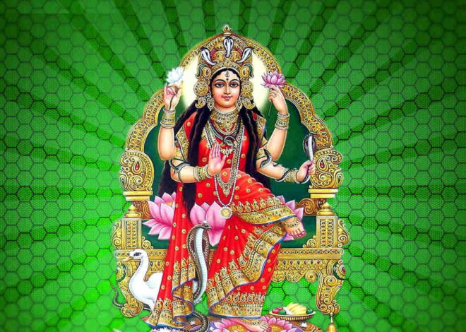 श्री मनसा देवी की आरती