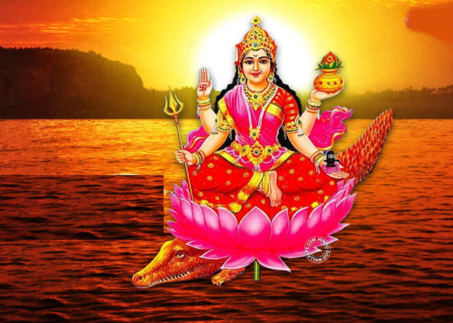 श्री नर्मदा चालीसा